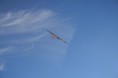/album/fotogaleria-2010-10-21-starogrod-/a9-jpg/